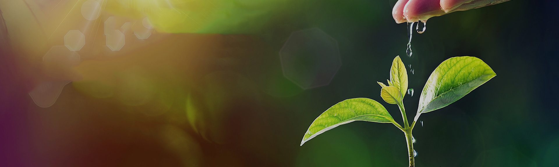 ÄϹ¬NG¡¤28(Öйú)ÏàÐÅÆ·ÅÆÁ¦Á¿ÓÐÏÞ¹«Ë¾