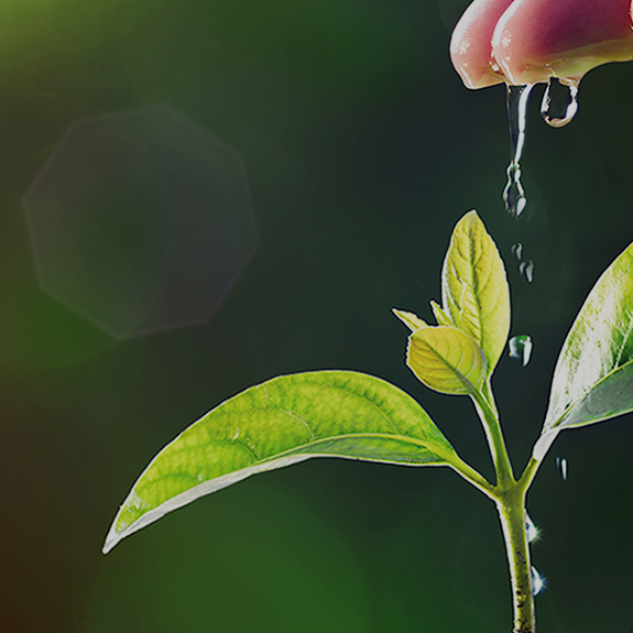 ÄϹ¬NG¡¤28(Öйú)ÏàÐÅÆ·ÅÆÁ¦Á¿ÓÐÏÞ¹«Ë¾